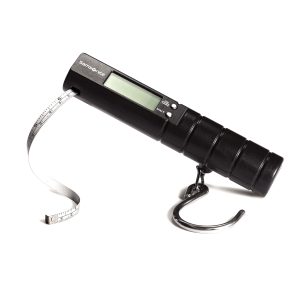 Electronic Scale